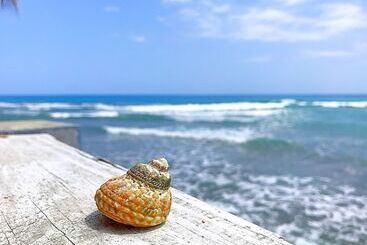 ベッドアンドブレックファースト Coterelle Breeze