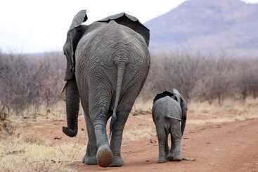 Pension Leopard Kruger Lodge
