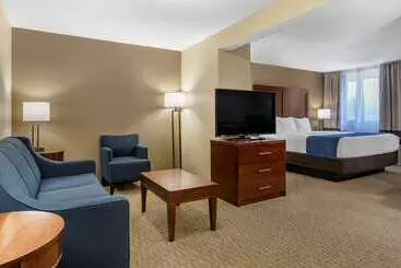 Отель Comfort Inn Near Greenfield Village