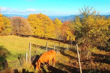 コテージ Gite La Petite Finlande
