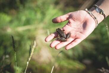 관광객 아파트 Quinta De Mos