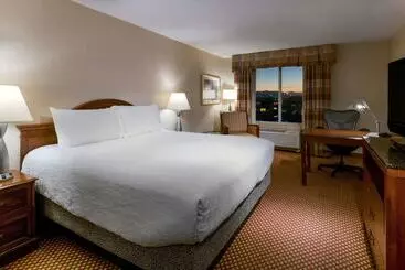 ホテル Hilton Garden Inn Denver Airport