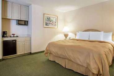 בית מלון כפרי La Quinta Inn & Suites By Wyndham South Holland