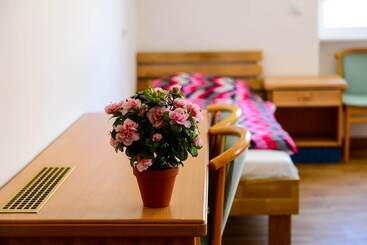 Pension Und Monteurzimmer Victoria