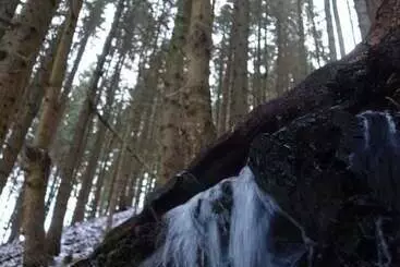 Ferienwohnungen Wiesenhof