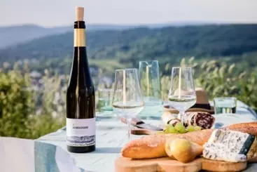 ツーリストアパートメント Weinvilla Heinrichshof