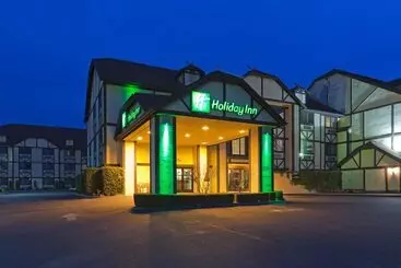 酒店 Holiday Inn Selma   Swancourt By Ihg