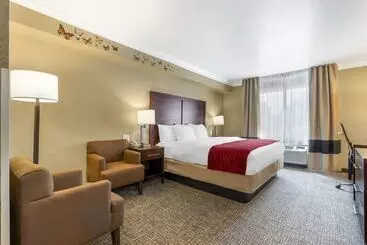 בית מלון כפרי Comfort Inn Arcata