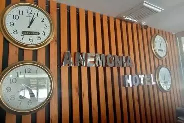 ホテル Anemonia