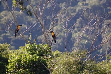 بنسيون Toca Da Anita Maresias