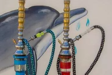 Hotel Zanpalm Boutique