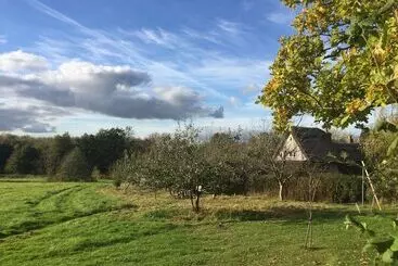 Thatched Cottage B&b