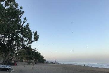 Apartamentos turísticos Kubu Willis