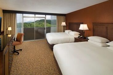 리조트 The Park Vista A Doubletree By Hilton Hotel Gatlinburg