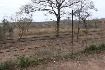 ホテル Kruger Park Tours