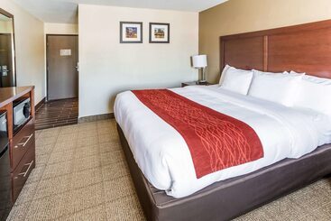 ホテル Comfort Inn