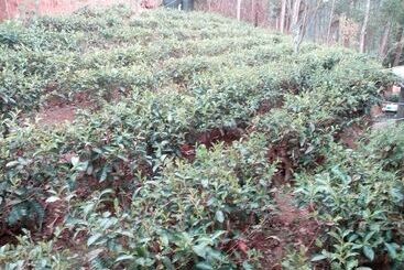 Majatalo The Mountian Lodge