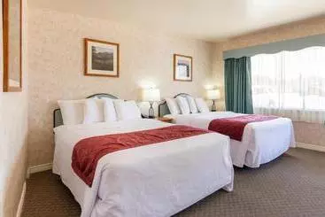 酒店 Swiss Alps Inn