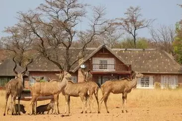 ホテル Kudumela Bush Lodge