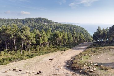 Appartamenti turistici Villa Emily By Jj Hospitality