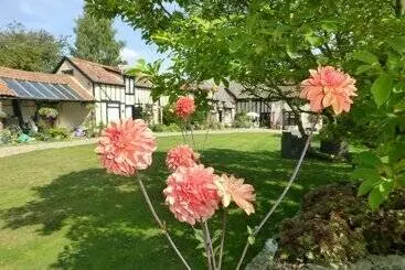 Bed and Breakfast Greyhound Cottage