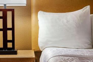 فندق Best Western Plus Dfw Airport Suites