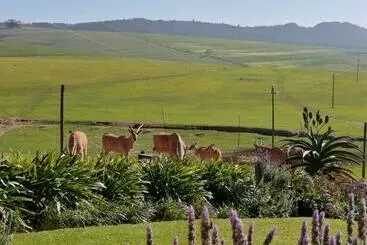 Pension Rouxwil Country House