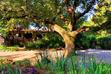 ホテル Pine Valley Lodge