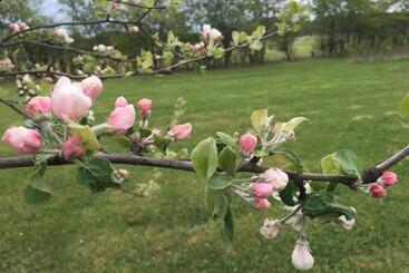 Malmgårdens Vandrarhem B&b