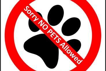 Szálloda Basecamp Suites Canmore