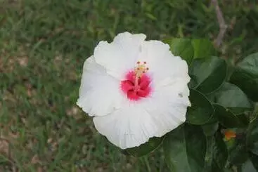 Aparthotel Grand Bay Suites