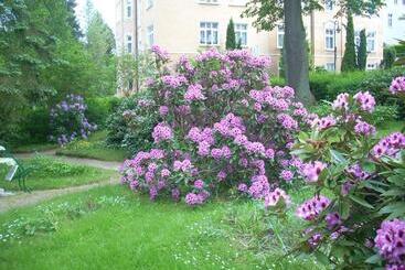 Pensione Kurheim Haus Linde