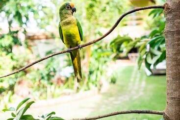 膳宿费 Pousada Casa Das Janas Trancoso