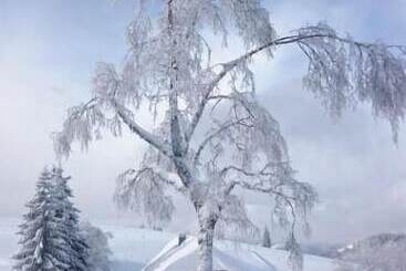 Pensão Berggasthaus Gisiboden