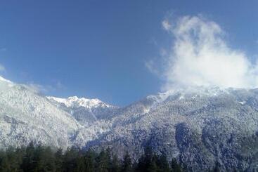 פנסיון Landhaus Tirol