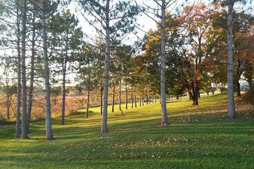 مبيت وإفطار Shane Acres Country Inn