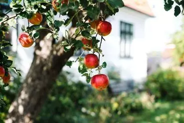 Pensionat Urshult Hotell