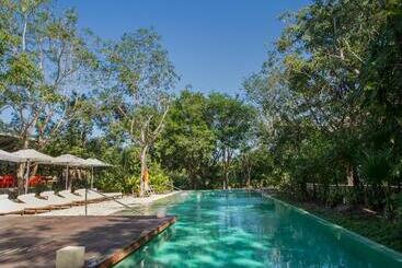 渡假胜地  The Explorean Cozumel - All Inclusive