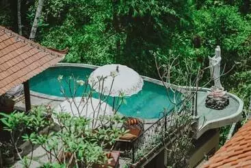 Bed and Breakfast Jungle Lotus Villas
