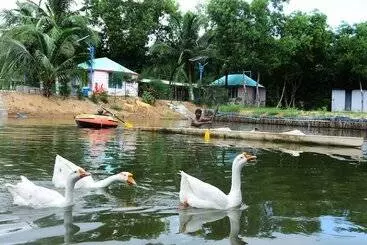 Daaven's Island Resort