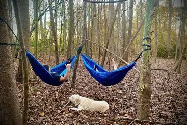 Aamiaismajoitus (B&B) Vaiden Inn