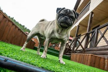 Park Hotel Baikal Dar