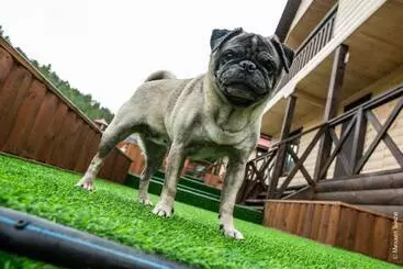 Park Hotel Baikal Dar