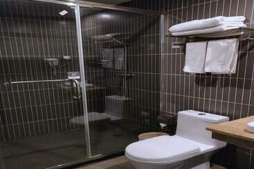 Thank Inn Plus Hotel Jiangxi Fuzhou Jinxi County Government Square