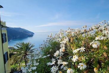 هتل آپارتمان Hanging Garden With Air Conditioning