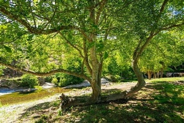 בית מלון כפרי Camping Les Cerisiers Du Jaur