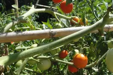 Aamiaismajoitus (B&B) Villa Primaluce