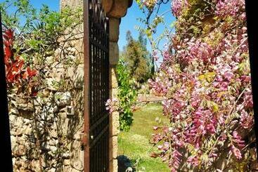 Bed and Breakfast Masseria Borgo Del Gallo