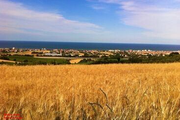 住宿加早餐 Casale Civetta