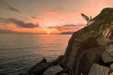 簡易ホテル Terra Prime Suite